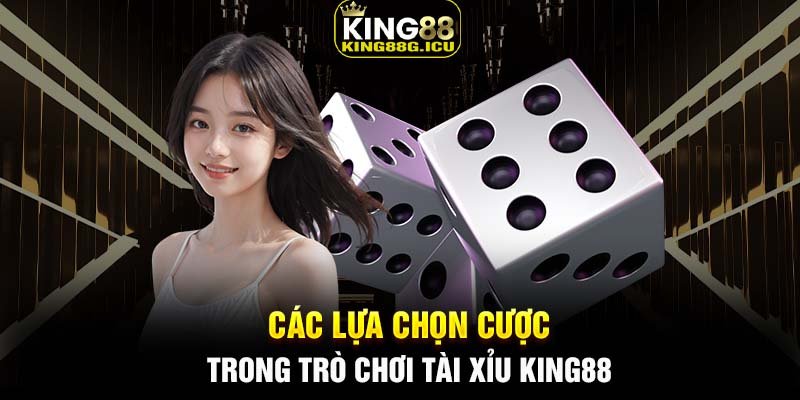 Các lựa chọn cược trong trò chơi tài xỉu King88