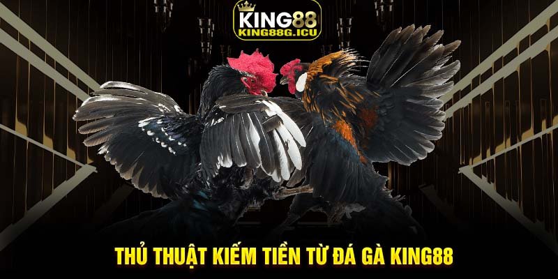 Thủ thuật kiếm tiền từ đá gà King88